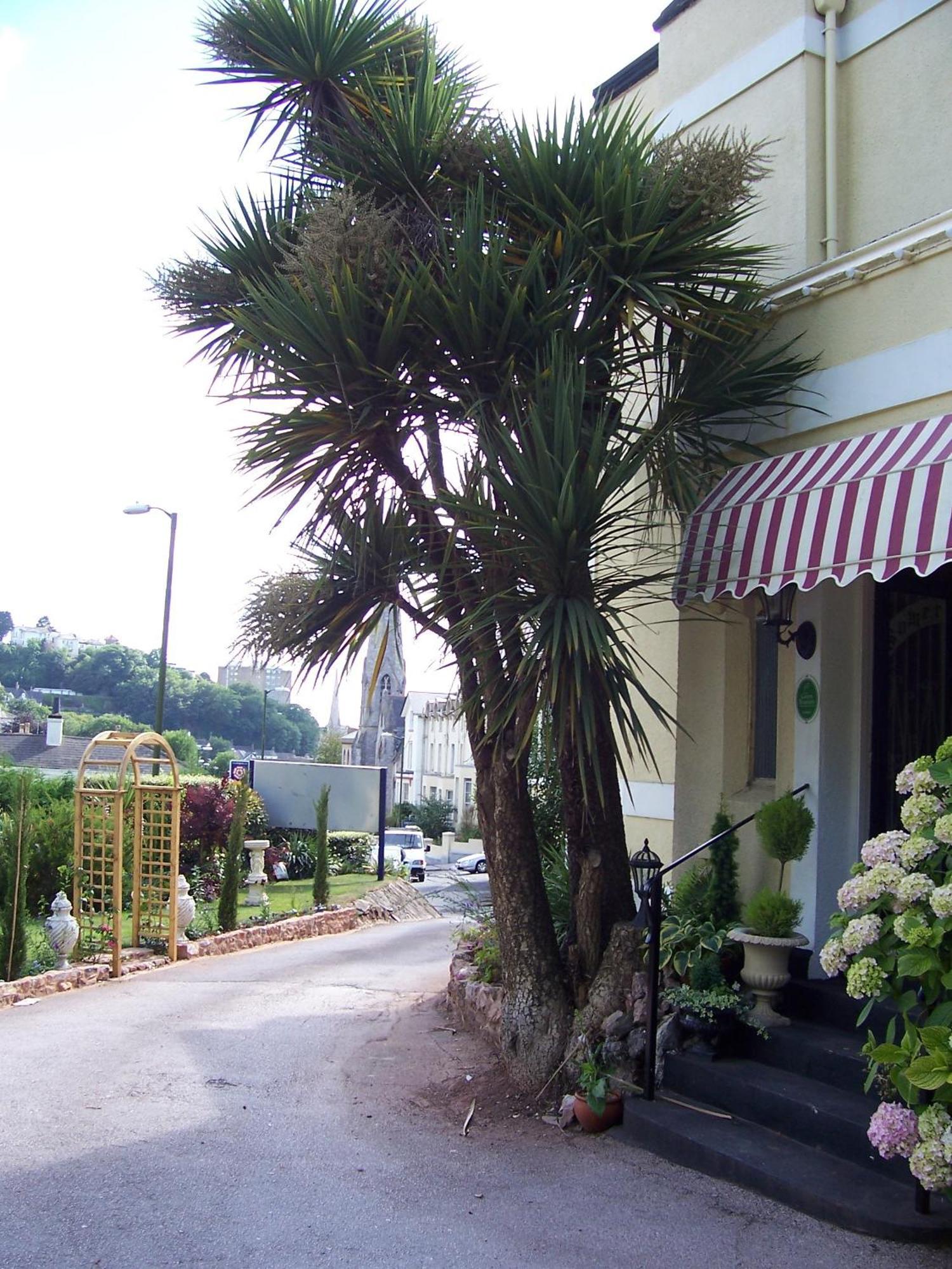 The Somerville Torquay Bagian luar foto